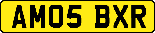 AM05BXR