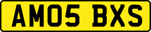 AM05BXS