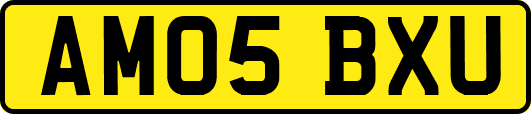AM05BXU