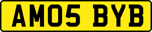 AM05BYB