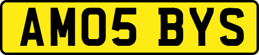 AM05BYS