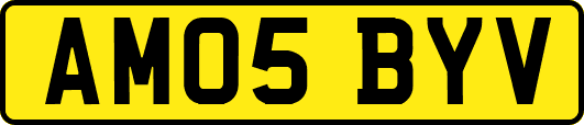 AM05BYV