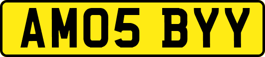 AM05BYY