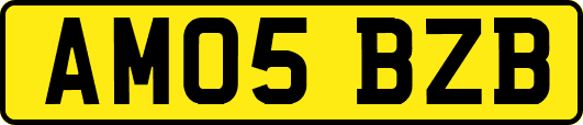 AM05BZB