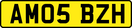 AM05BZH