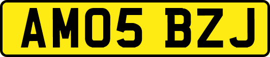 AM05BZJ