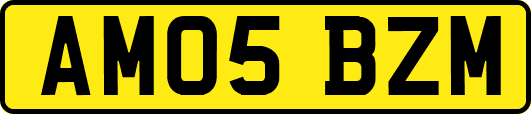 AM05BZM