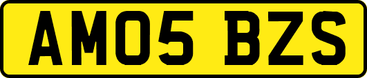 AM05BZS