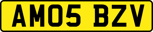 AM05BZV