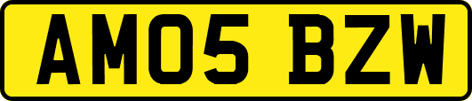 AM05BZW