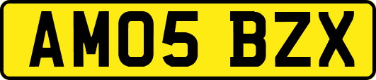 AM05BZX