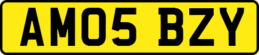 AM05BZY