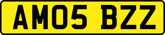 AM05BZZ