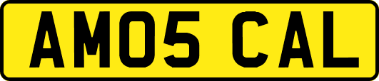 AM05CAL