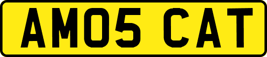 AM05CAT