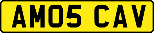 AM05CAV