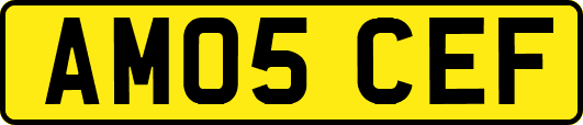 AM05CEF