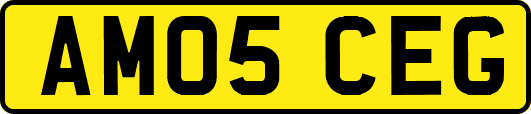 AM05CEG