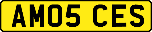 AM05CES