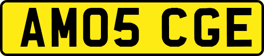 AM05CGE