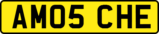 AM05CHE