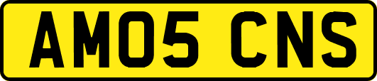 AM05CNS
