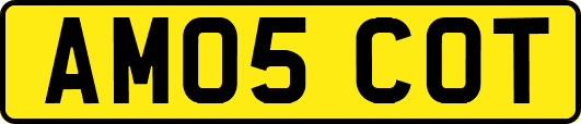 AM05COT