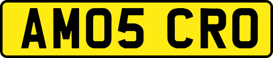 AM05CRO