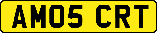 AM05CRT
