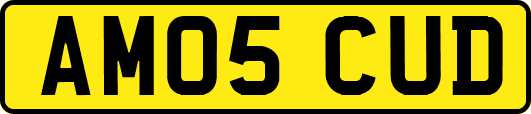 AM05CUD