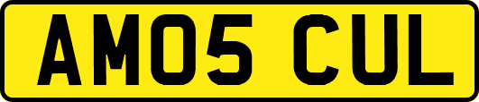 AM05CUL