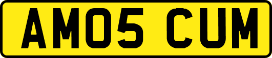 AM05CUM
