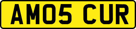 AM05CUR