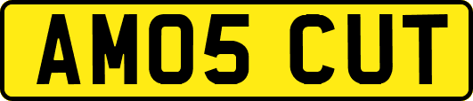 AM05CUT