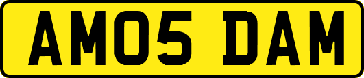 AM05DAM