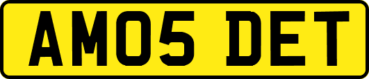 AM05DET
