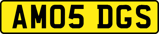 AM05DGS