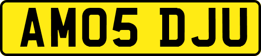 AM05DJU