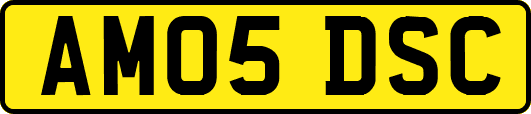 AM05DSC