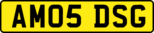 AM05DSG