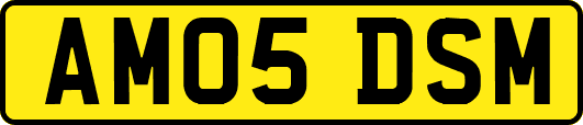 AM05DSM