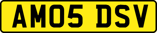 AM05DSV
