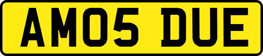 AM05DUE