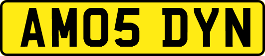 AM05DYN