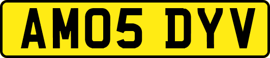 AM05DYV
