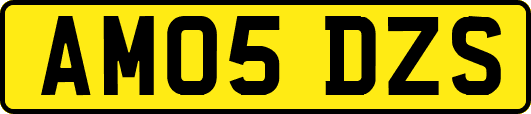 AM05DZS