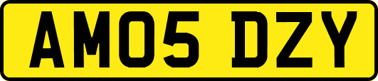 AM05DZY