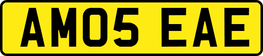 AM05EAE