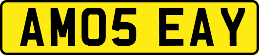 AM05EAY