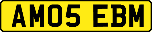 AM05EBM